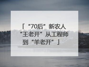 “70后”新农人“王老开”从工程师到“羊老开”