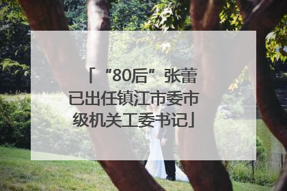 “80后”张蕾已出任镇江市委市级机关工委书记