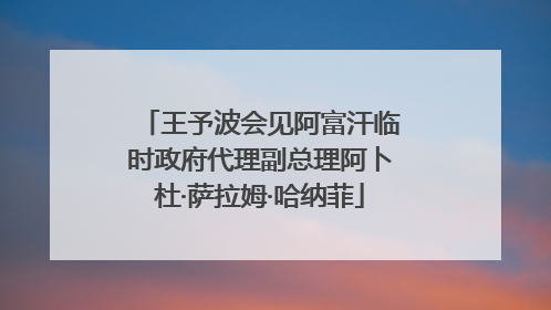 王予波会见阿富汗临时政府代理副总理阿卜杜·萨拉姆·哈纳菲