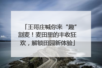 王哥庄喊你来“趣”割麦！麦田里的丰收狂欢，解锁田园新体验