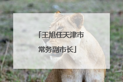 王旭任天津市常务副市长