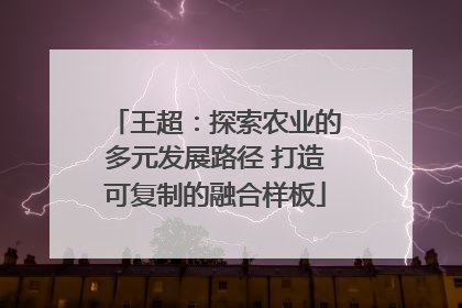 王超：探索农业的多元发展路径 打造可复制的融合样板