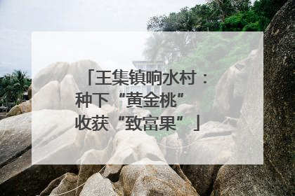 王集镇响水村：种下“黄金桃” 收获“致富果”