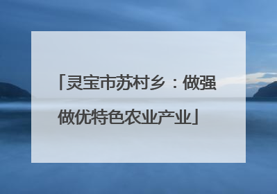 灵宝市苏村乡：做强做优特色农业产业