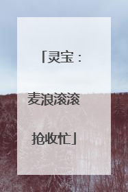灵宝：麦浪滚滚抢收忙