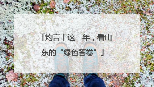 灼言丨这一年，看山东的“绿色答卷”