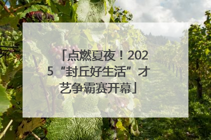 点燃夏夜！2025“封丘好生活”才艺争霸赛开幕