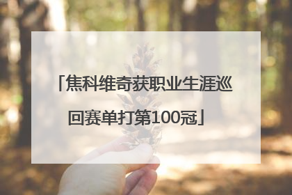 焦科维奇获职业生涯巡回赛单打第100冠