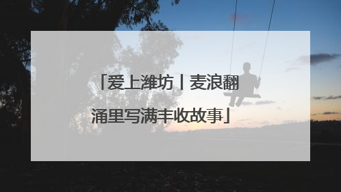 爱上潍坊丨麦浪翻涌里写满丰收故事