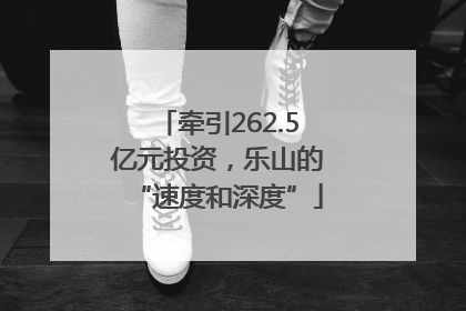 牵引262.5亿元投资，乐山的“速度和深度”