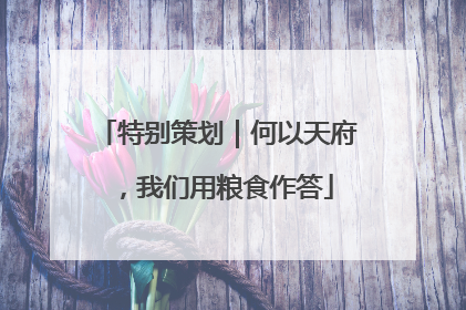特别策划｜何以天府，我们用粮食作答