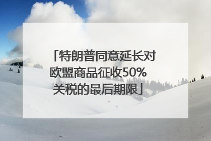 特朗普同意延长对欧盟商品征收50%关税的最后期限