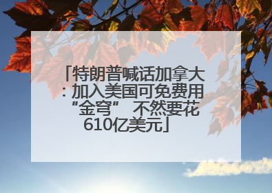 特朗普喊话加拿大：加入美国可免费用“金穹” 不然要花610亿美元