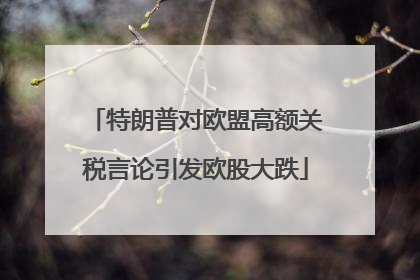 特朗普对欧盟高额关税言论引发欧股大跌