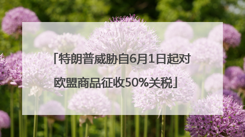特朗普威胁自6月1日起对欧盟商品征收50%关税