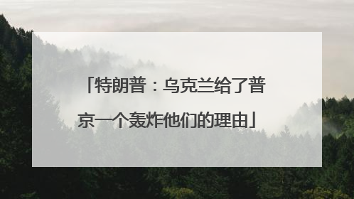 特朗普：乌克兰给了普京一个轰炸他们的理由
