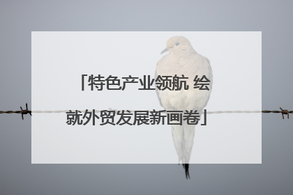 特色产业领航 绘就外贸发展新画卷