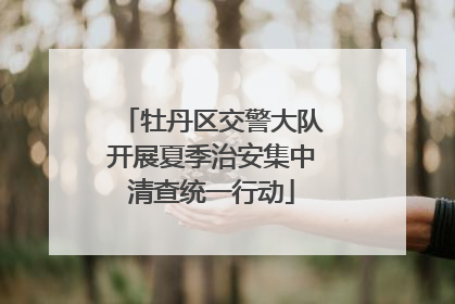 牡丹区交警大队开展夏季治安集中清查统一行动