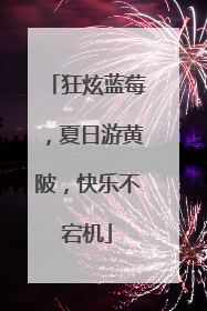狂炫蓝莓，夏日游黄陂，快乐不宕机
