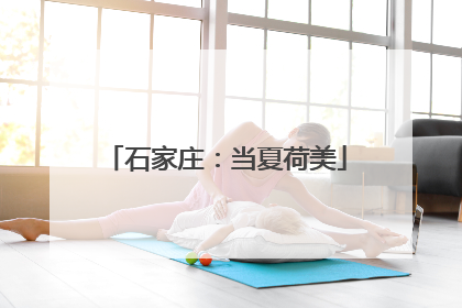 石家庄：当夏荷美