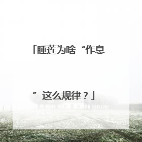 睡莲为啥“作息”这么规律？