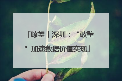 瞭望丨深圳：“破壁”加速数据价值实现