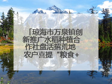 琼海市万泉镇创新推广水稻种植合作社盘活撂荒地 农户喜提“粮食+钞票”分红