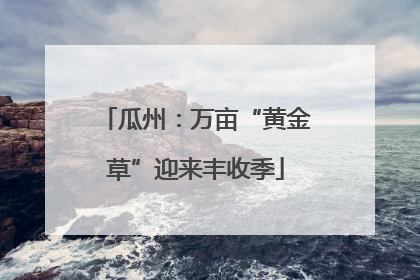 瓜州：万亩“黄金草”迎来丰收季