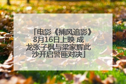 电影《捕风追影》8月16日上映 成龙张子枫与梁家辉此沙开启警匪对决