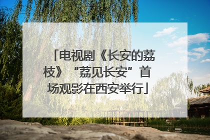 电视剧《长安的荔枝》“荔见长安”首场观影在西安举行