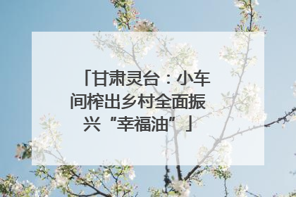 甘肃灵台：小车间榨出乡村全面振兴“幸福油”