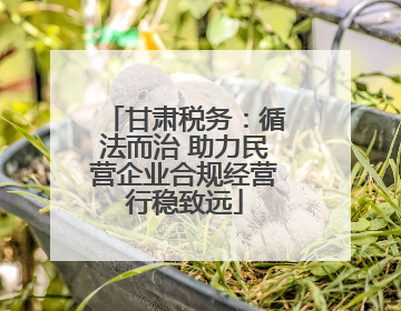 甘肃税务：循法而治 助力民营企业合规经营行稳致远