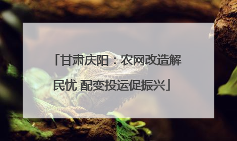 甘肃庆阳：农网改造解民忧 配变投运促振兴