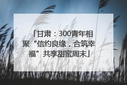 甘肃：300青年相聚“信约良缘，合筑幸福”共享甜蜜周末