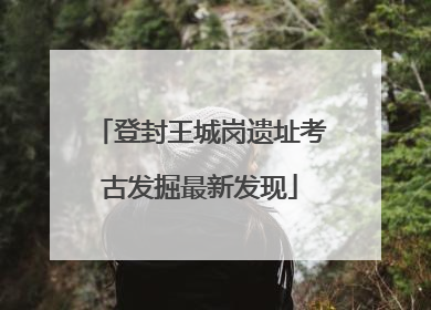 登封王城岗遗址考古发掘最新发现