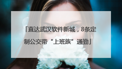 直达武汉软件新城，8条定制公交带“上班族”通勤