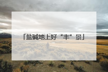 盐碱地上好“丰”景