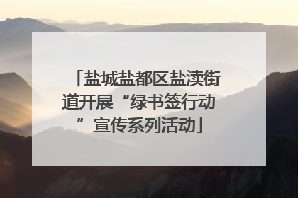 盐城盐都区盐渎街道开展“绿书签行动”宣传系列活动