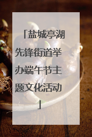 盐城亭湖先锋街道举办端午节主题文化活动