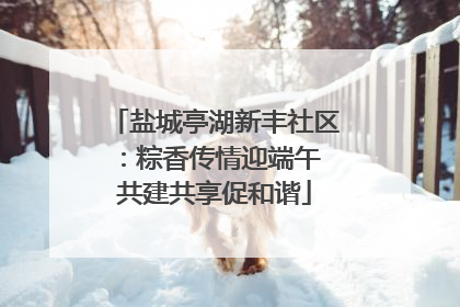 盐城亭湖新丰社区：粽香传情迎端午 共建共享促和谐