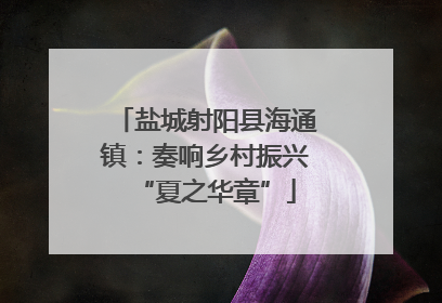 盐城射阳县海通镇：奏响乡村振兴“夏之华章”