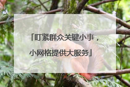 盯紧群众关键小事，小网格提供大服务