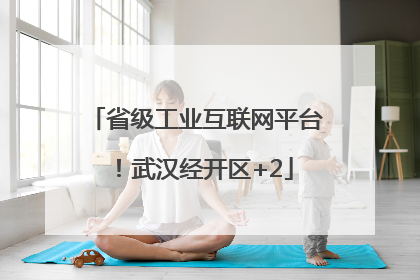 省级工业互联网平台！武汉经开区+2