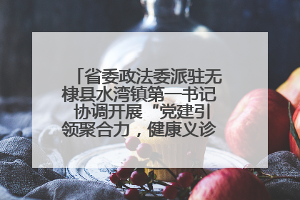 省委政法委派驻无棣县水湾镇第一书记 协调开展“党建引领聚合力，健康义诊惠乡亲”义诊活动