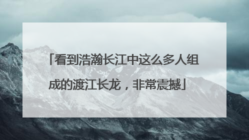 看到浩瀚长江中这么多人组成的渡江长龙，非常震撼