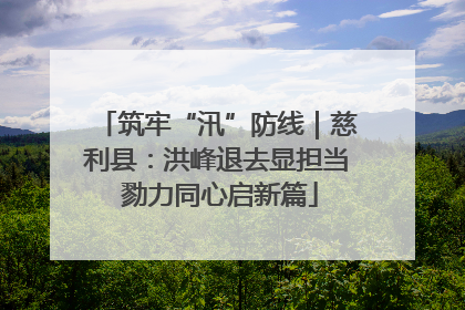 筑牢“汛”防线｜慈利县：洪峰退去显担当 勠力同心启新篇