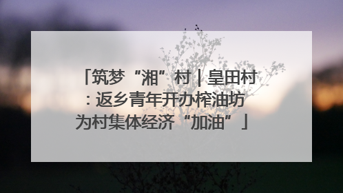 筑梦“湘”村｜皇田村：返乡青年开办榨油坊 为村集体经济“加油”