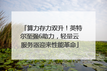 算力存力双升！英特尔至强6助力，轻量云服务器迎来性能革命