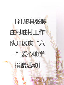 社旗县张腰庄村驻村工作队开展庆“六一”爱心助学捐赠活动
