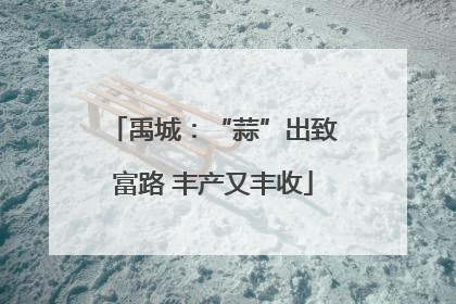 禹城：“蒜”出致富路 丰产又丰收